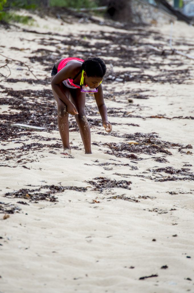 girl picking up shells on the beach in the Bahamas