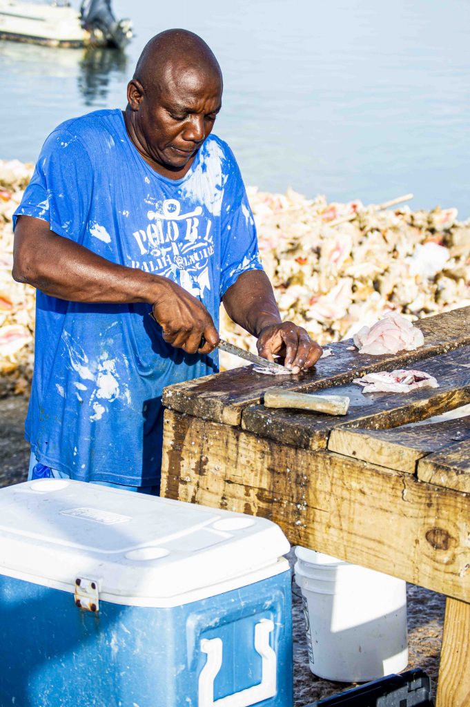 Man cleaning fish on the beach