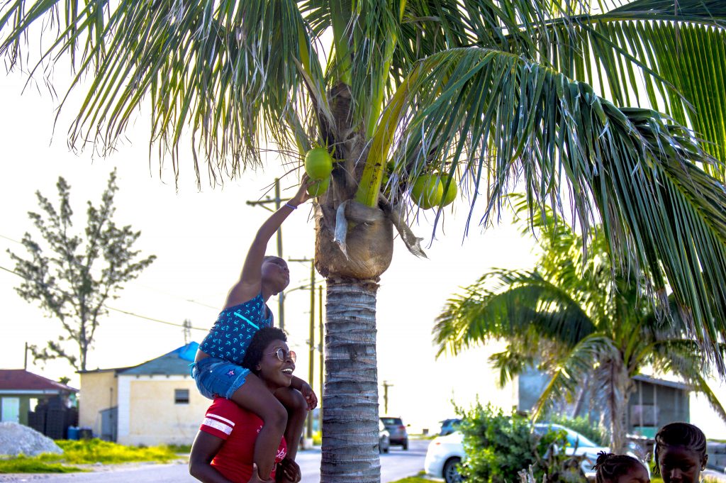 Girl on woman's shoulder near a coconut tree
